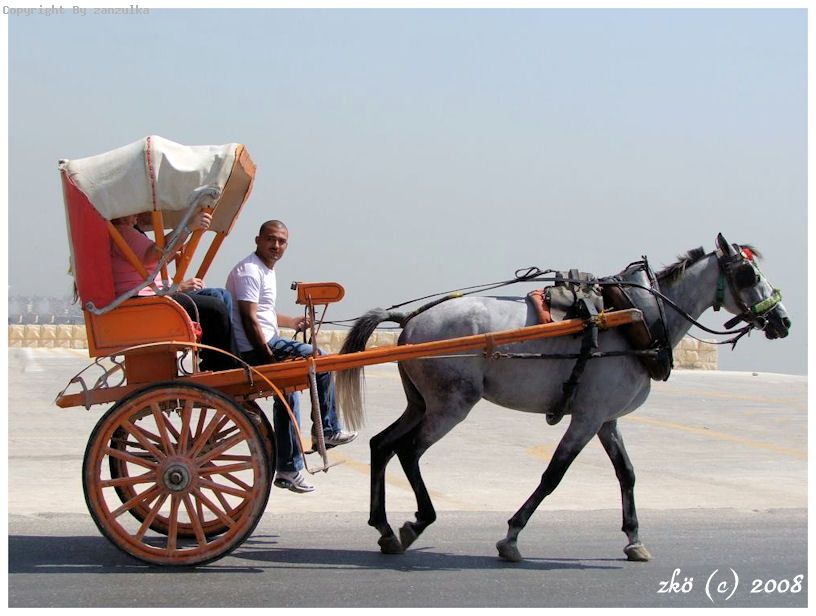 EGYPT 2008 (19)