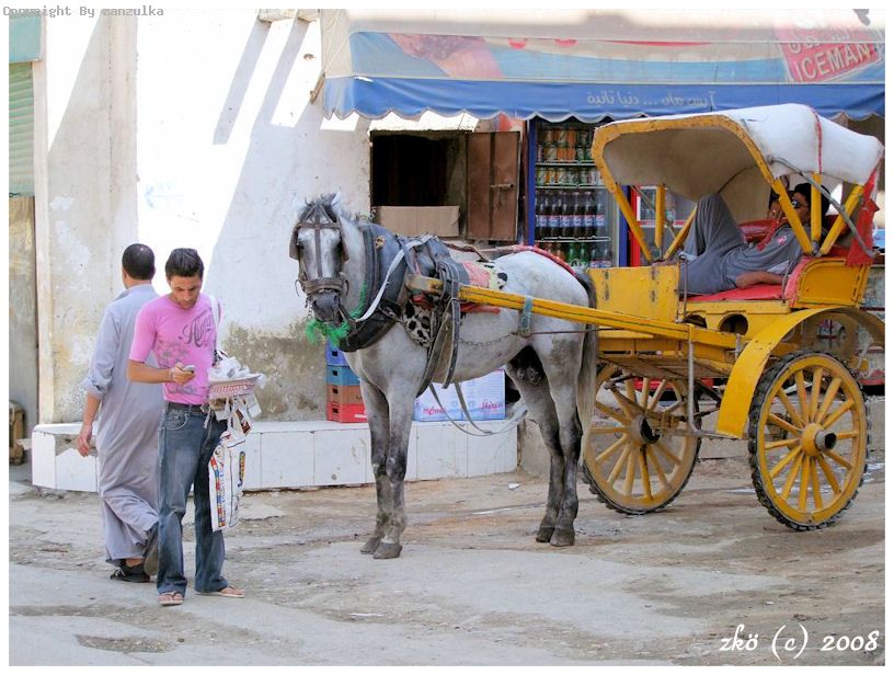 EGYPT 2008 (20)