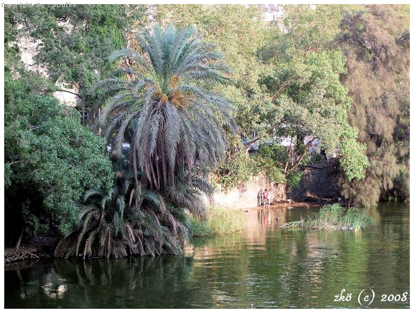 EGYPT 2008 (23)