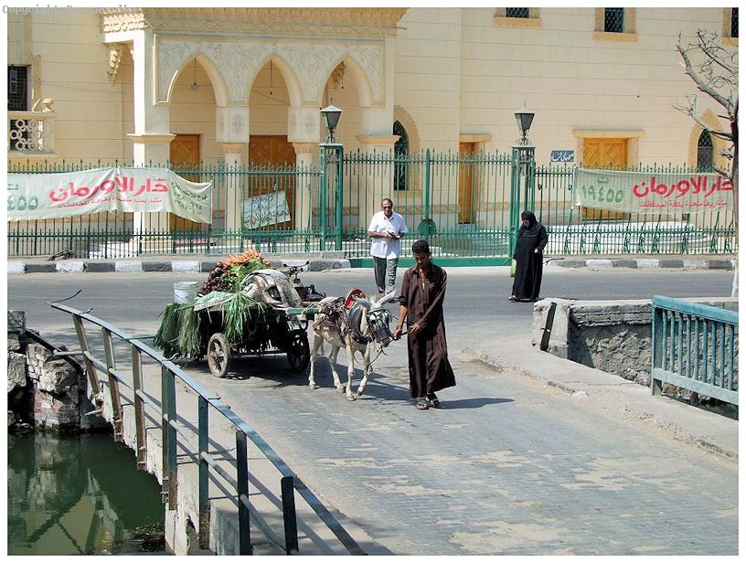 EGYPT 2008 (32)